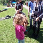 phoca_thumb_m_ponk 54 Fotogalerie